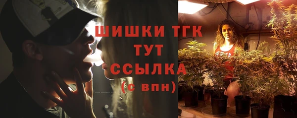 винт Армянск