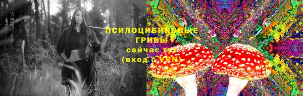 метадон Аркадак