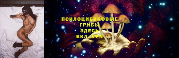 винт Армянск
